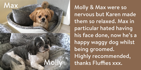 Max-Molly-review